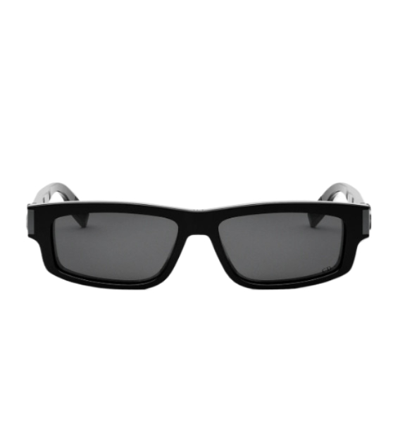 CD ICON S2I Logo Temple Sunglasses