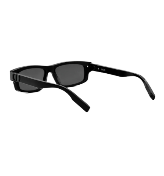 CD ICON S2I Logo Temple Sunglasses