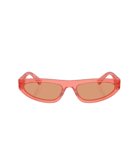 Logo temple sunglasses