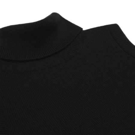 Triomphe turtleneck sweater