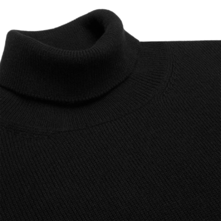 Triomphe turtleneck sweater