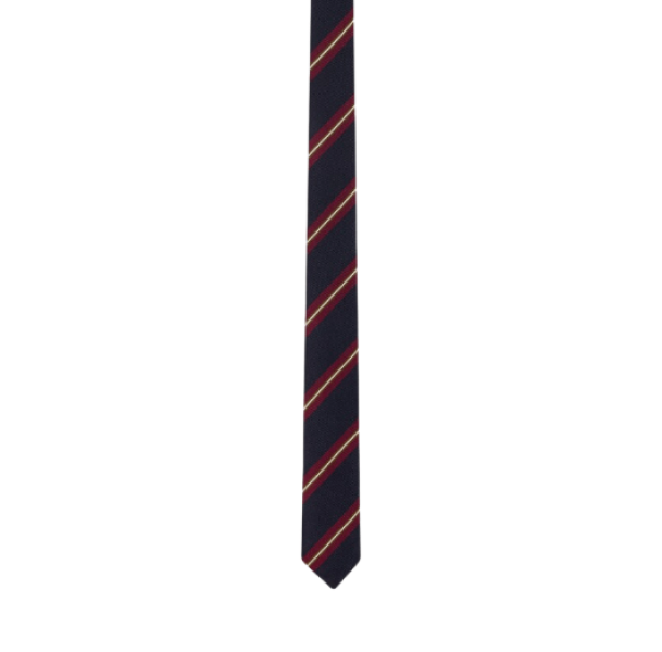 THIN TIE IN STRIPED SILK