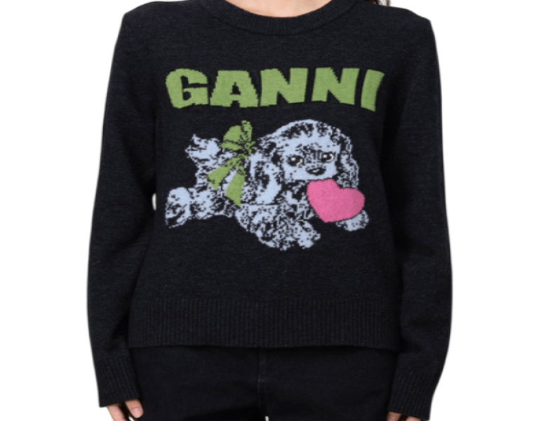 Dark Grey Puppy Wool Jumper