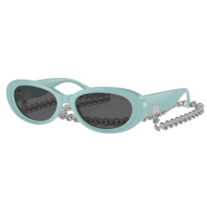Tiffany & Co. Blue Acetate TF4221 Sunglasses