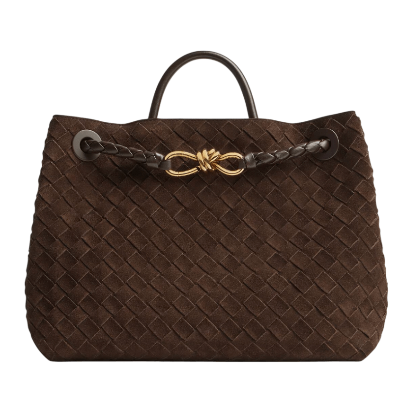 Bottega Veneta Medium Andiamo Bag Fondant