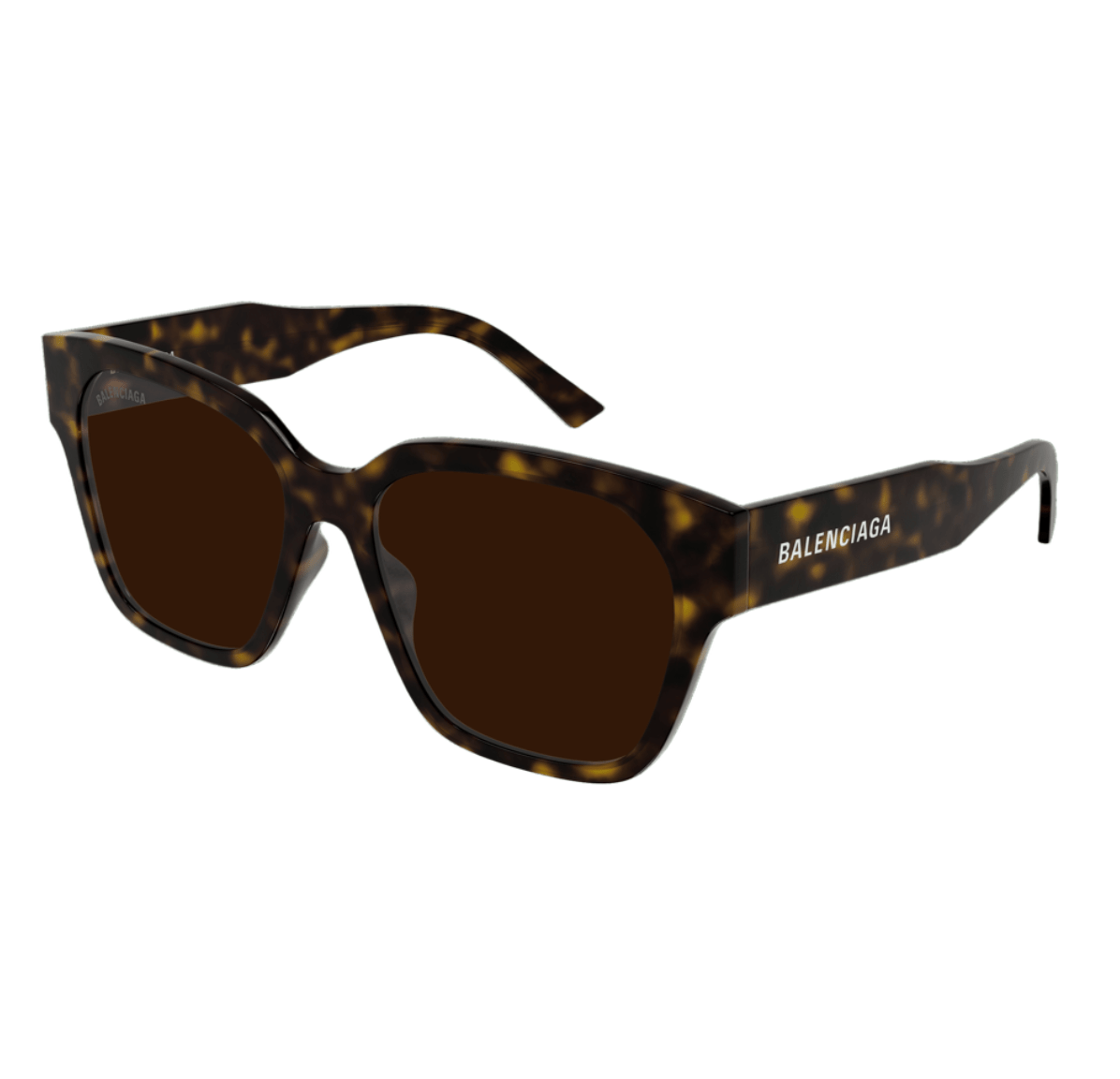 Balenciaga Everyday Sunglasses Havana