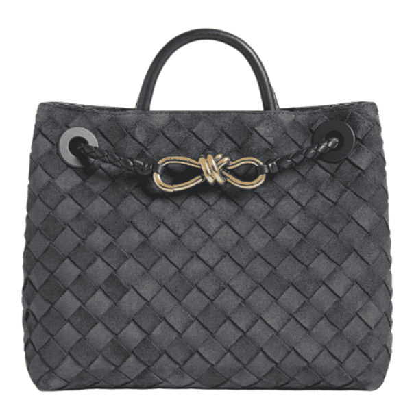 Bottega Veneta Small Andiamo Graphite