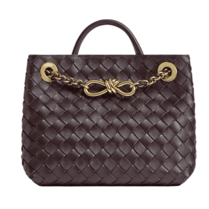 Bottega Veneta Small Andiamo Chain Dark Barolo