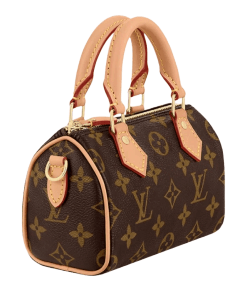 Louis Vuitton Nano Speedy Monogram
