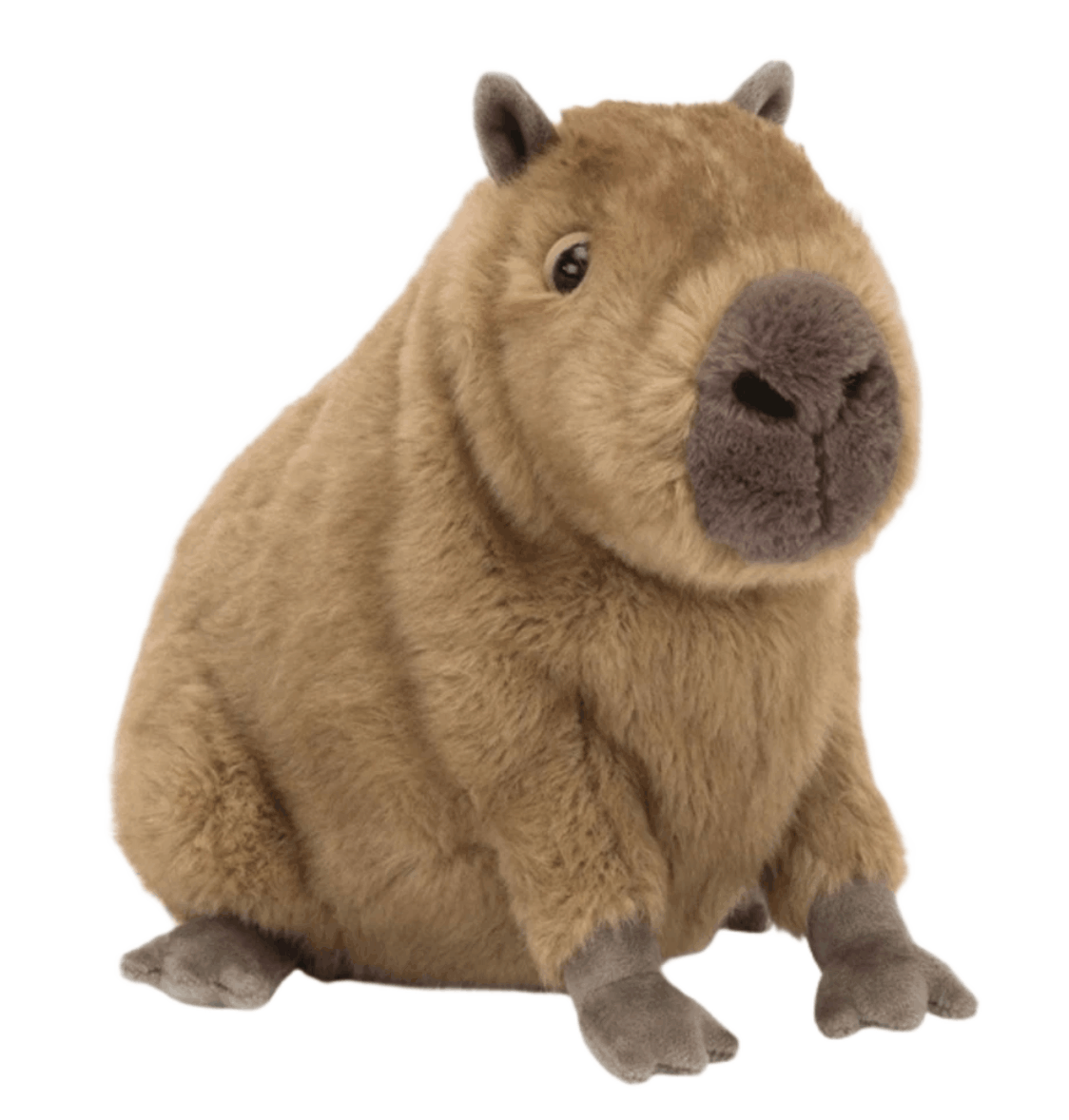 Jellycat Clyde Capybara Brown