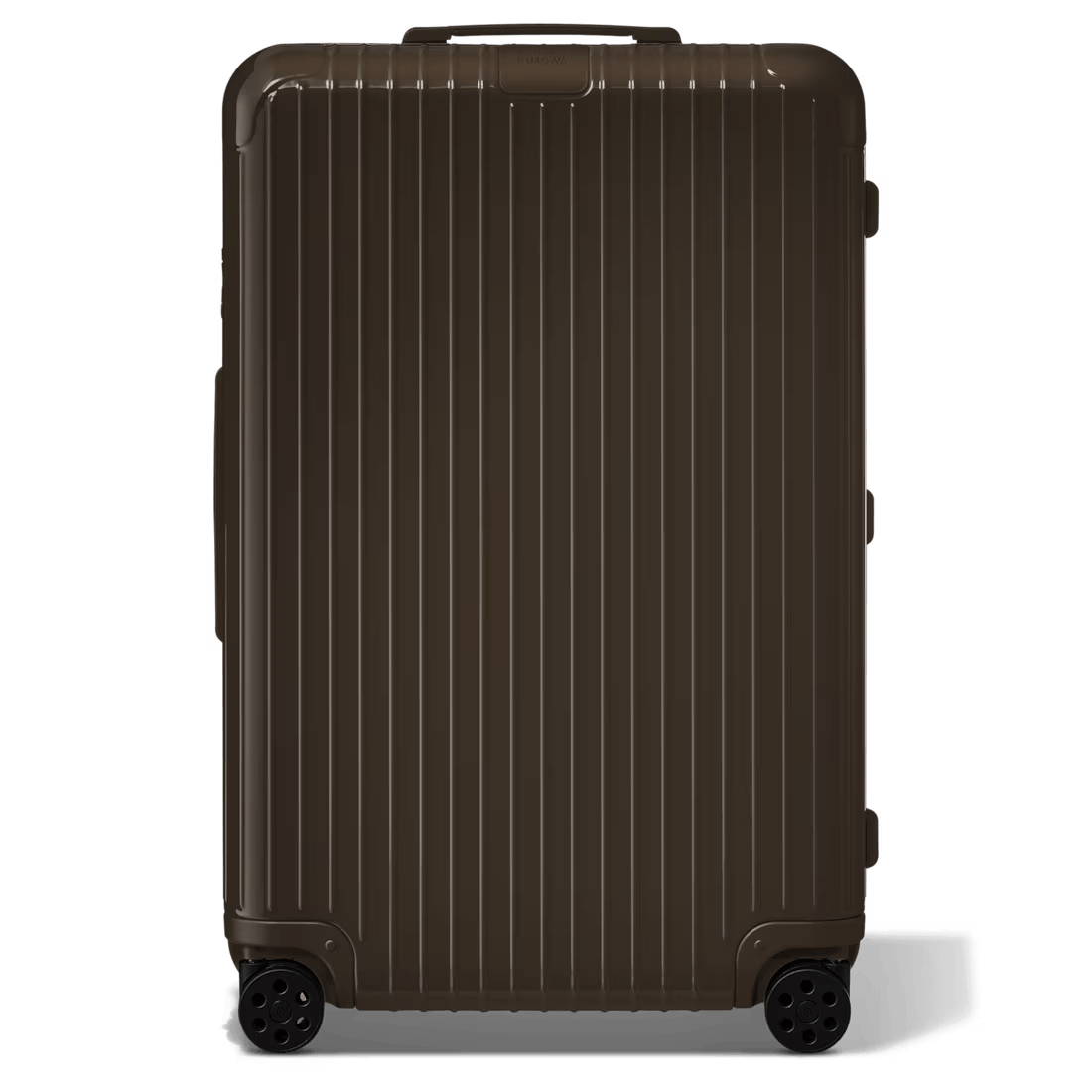 Check-In L (Cedar Brown)