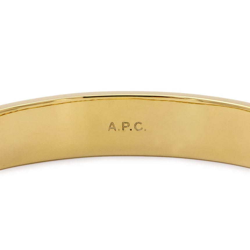 Darwin Bracelet - Shared Bracelet