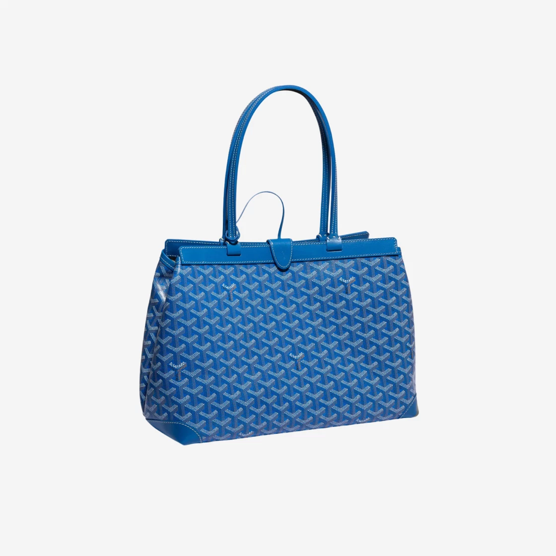 Goyard Belshas Beyud Bag PM Sky Blue