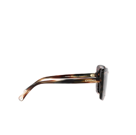 Tortoise Logo Temple Sunglasses