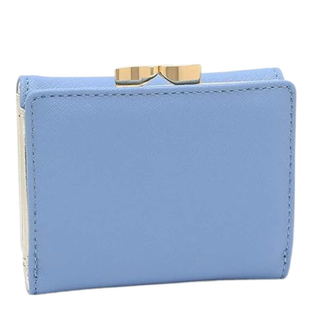 SAFFIANO SMALL FRAME WALLET