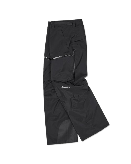 GTX (VTX X EIDER) ES 2L PANTS BLACK