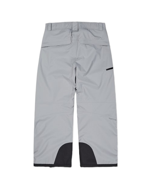 GTX BASIS (VTX X EIDER) 2L PANTS GREY