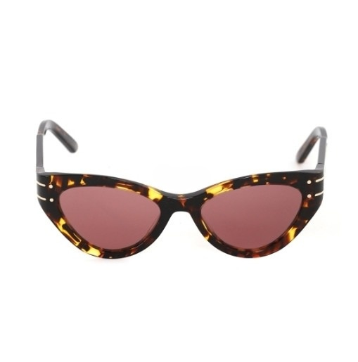 DIORSIGNATURE B7I sunglasses